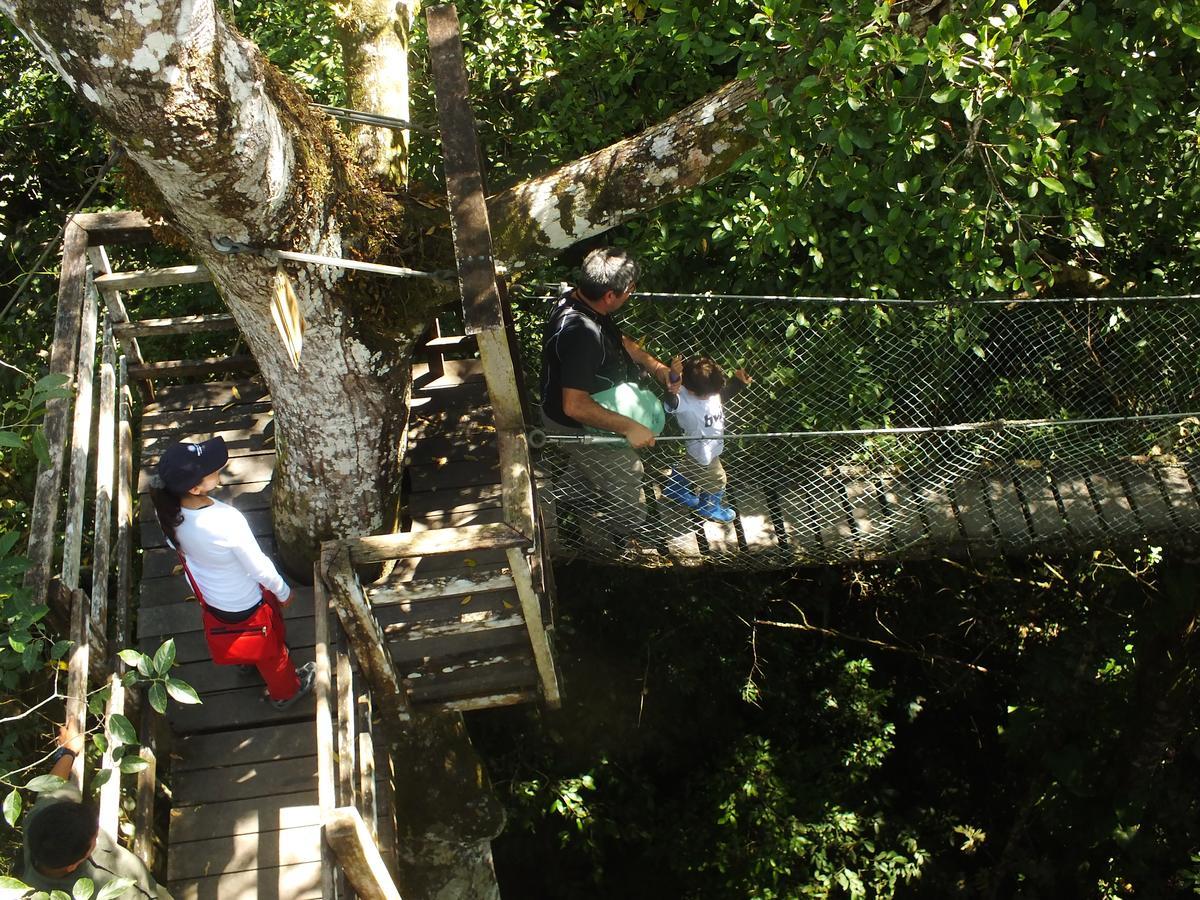 Hacienda Herrera Tambopata Puerto Maldonado Exteriér fotografie