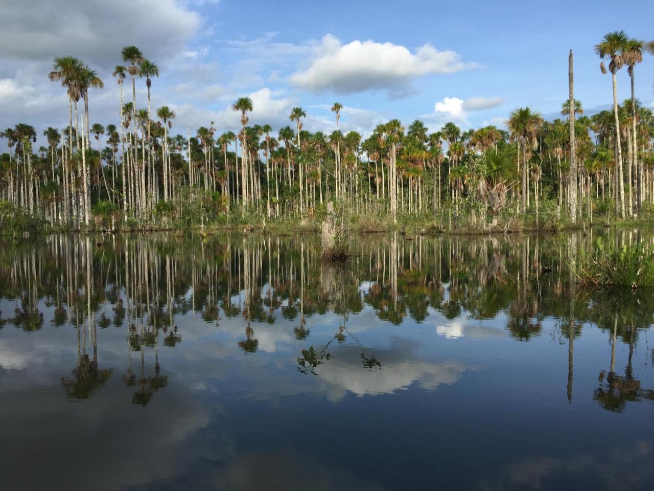 Hacienda Herrera Tambopata Puerto Maldonado Exteriér fotografie